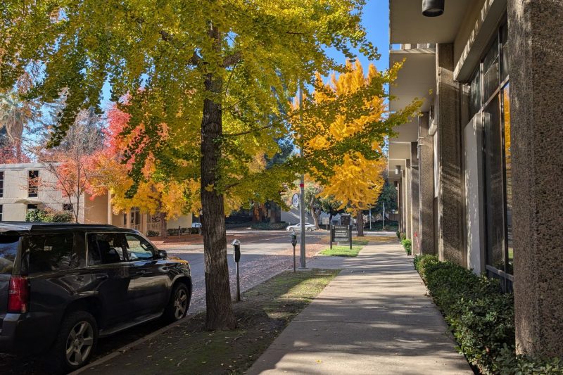 Home 10 Autumn Awaits: Key Homebuying and Refinancing Tips to Consider Before Fall Officially Begins